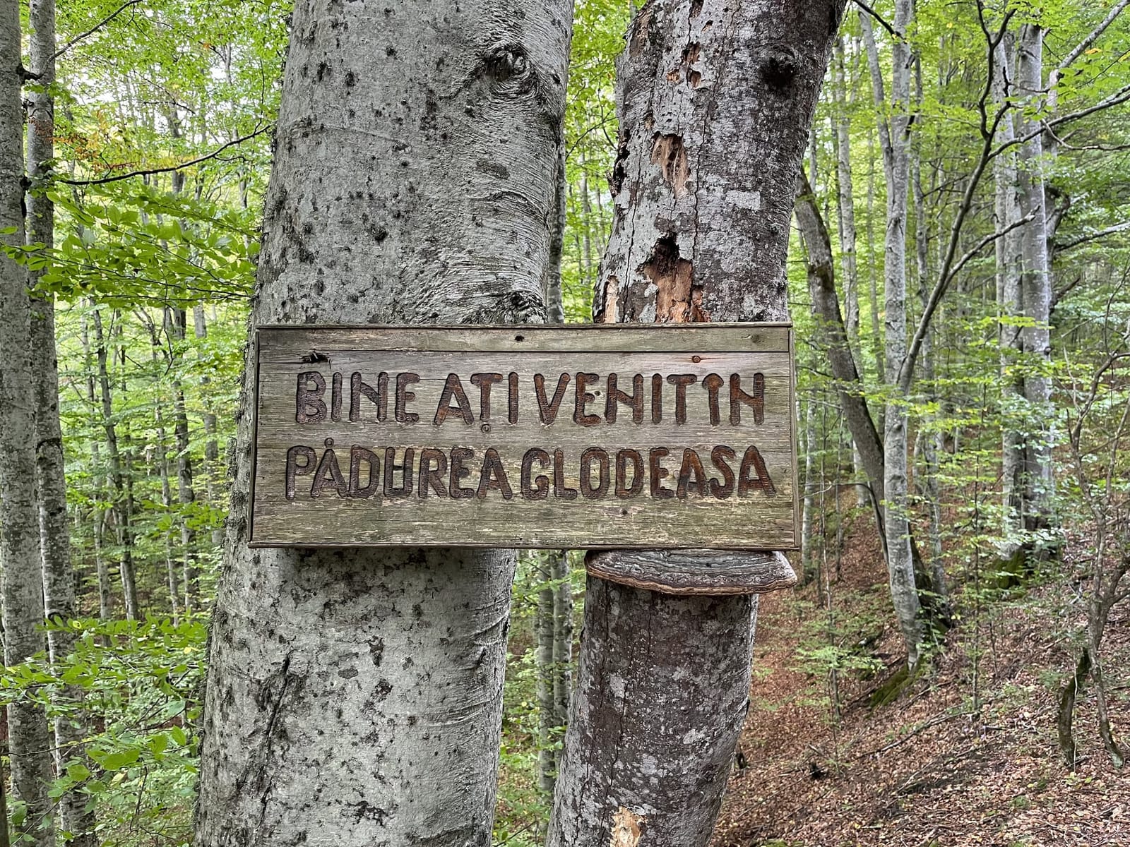 Timp liber în Valea Doftanei