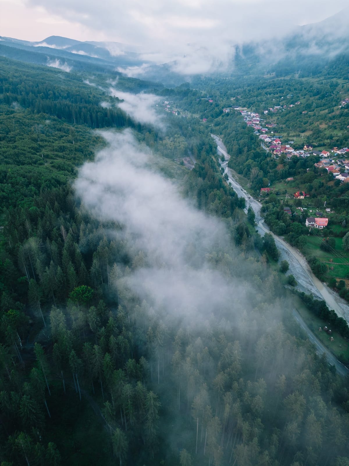 Pădurile și culmile Văii Doftanei